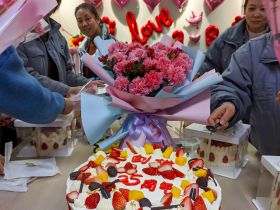 江蘇迪賽諾舉辦三八婦女節活動